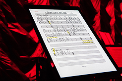 TRIPLE DOOR - THE BIG GIG